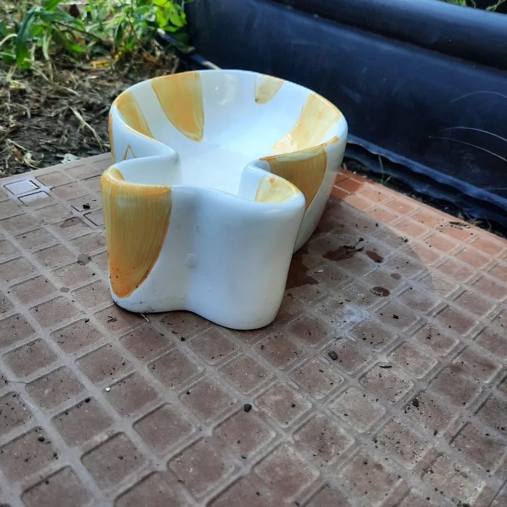 Ceramic pet dish